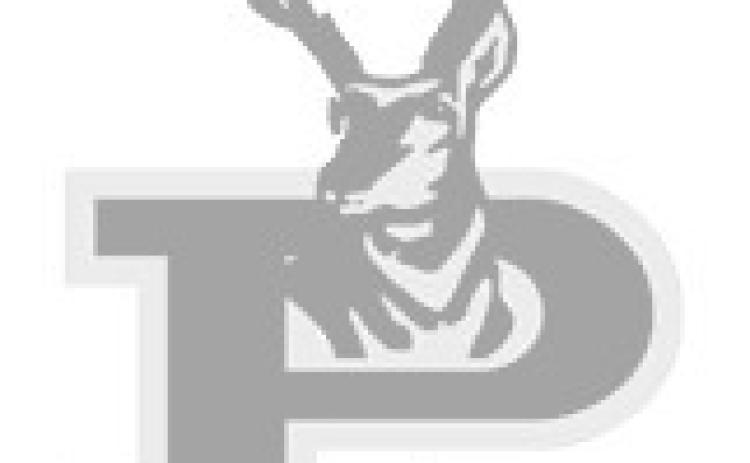 Bold Gold and Lady Lope basketball Thanksgiving recap