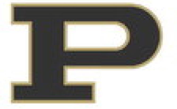Bold Gold and Lady Lopes fall to New Home, shift focus to New Deal and Abernathy