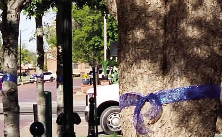 ABUSE PREVENTION Blue ribbons and pinwheels are symbols to help bring awareness to Child Abuse Prevention Month in April. | ANNA GIBSON PHOTO