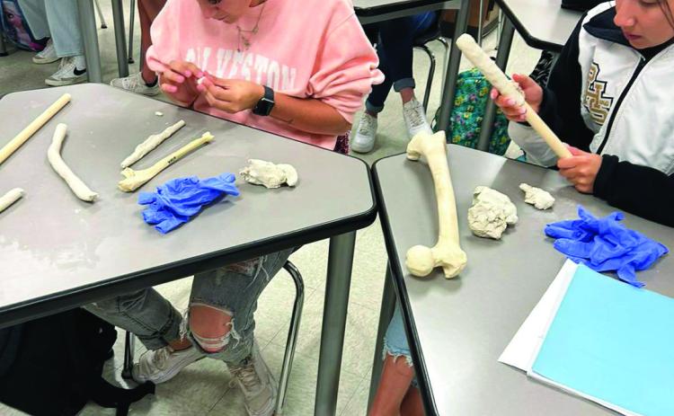PHS Anatomy & Physiology Class