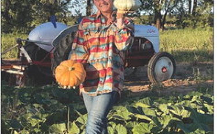 Welcome to my Pumpkin Patch