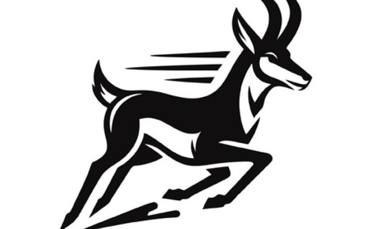 Lady Lopes fall to Abernathy and Olton, prepare for Tahoka and Ropes this week