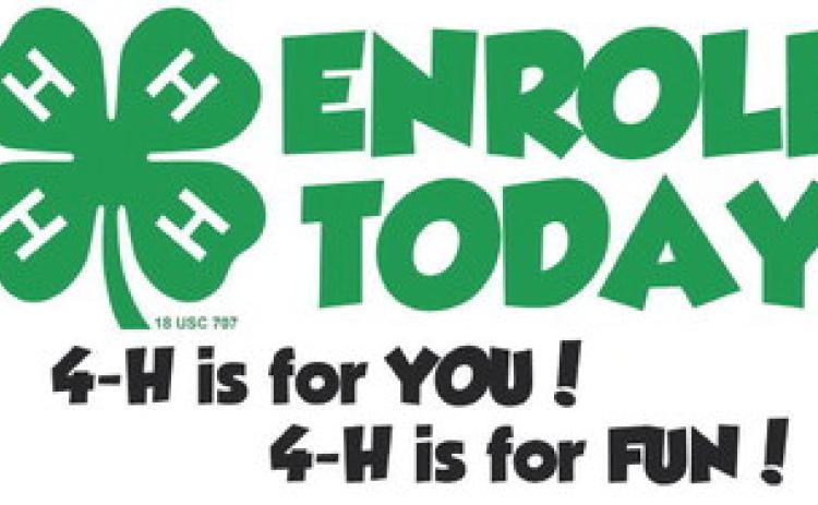 4-H is for you!